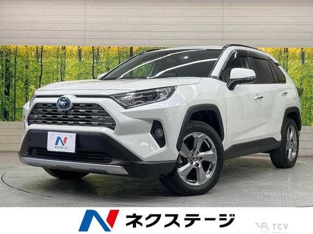 2020 Toyota RAV4