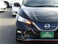 2021 Nissan Leaf