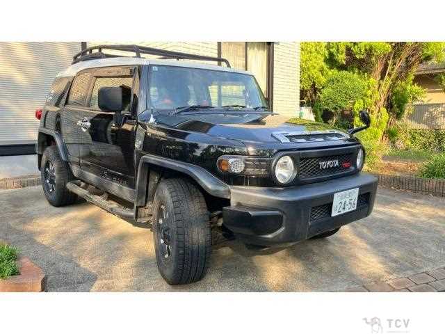2013 Toyota FJ Cruiser