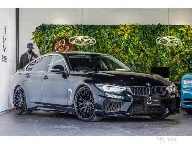 2018 BMW BMW Others