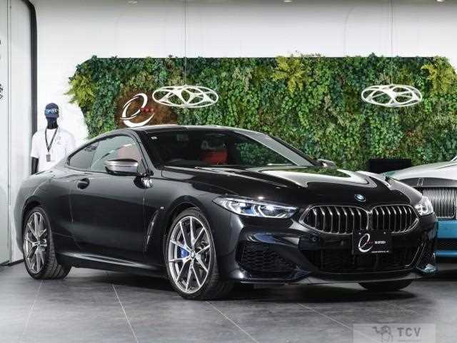 2019 BMW 8 Series