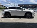 2021 Lexus RX