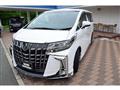 2019 Toyota Alphard G
