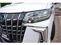 2019 Toyota Alphard G