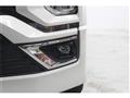 2019 Mitsubishi Delica D5