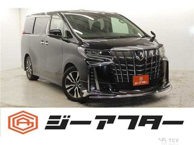 2019 Toyota Alphard G
