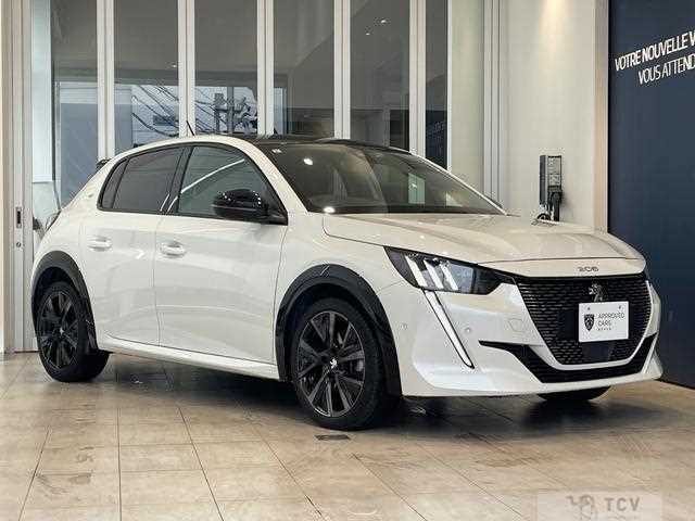 2021 Peugeot Peugoet Others