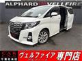 2017 Toyota Alphard G