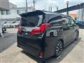 2020 Toyota Alphard G