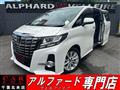 2017 Toyota Alphard G