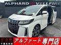 2019 Toyota Alphard G