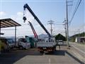 2015 Isuzu Elf Truck