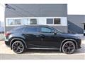2020 Lexus RX