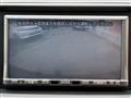 2009 Honda Step WGN