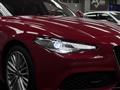 2019 Alfa Romeo Alfa Romeo Others