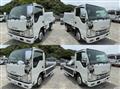 2009 Isuzu Elf Truck