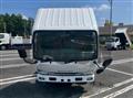 2019 Isuzu Elf Truck