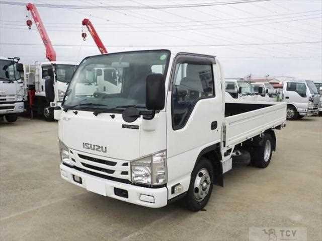 2020 Isuzu Elf Truck