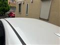 2009 Lexus RX