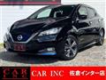 2020 Nissan Leaf
