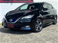 2020 Nissan Leaf