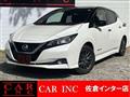 2019 Nissan Leaf