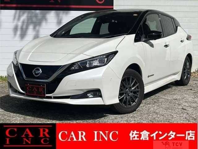 2019 Nissan Leaf