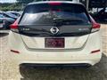 2019 Nissan Leaf