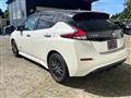 2019 Nissan Leaf