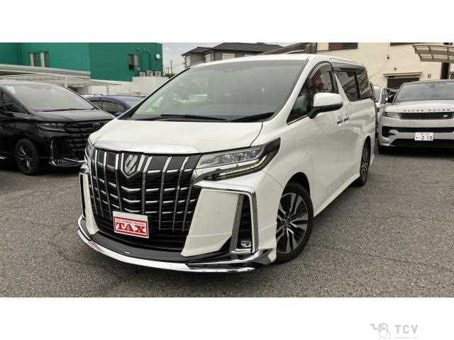 2019 Toyota Alphard G
