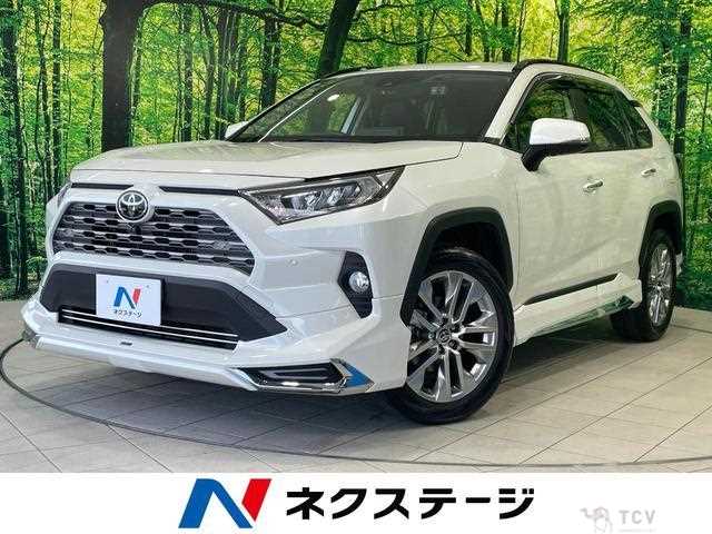 2020 Toyota RAV4