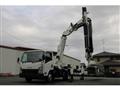 2020 Isuzu Elf Truck