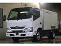 2019 Toyota Dyna Truck