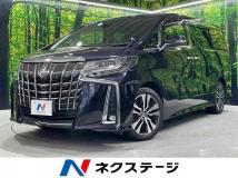 2019 Toyota Alphard G