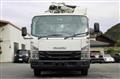 2020 Isuzu Elf Truck