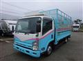 2010 Isuzu Elf Truck