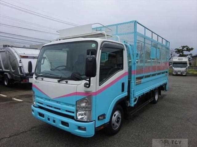 2010 Isuzu Elf Truck