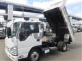 2018 Isuzu Elf Truck