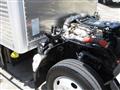 2019 Isuzu Elf Truck