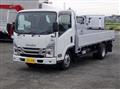 2021 Isuzu Elf Truck