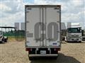 2019 Isuzu Elf Truck