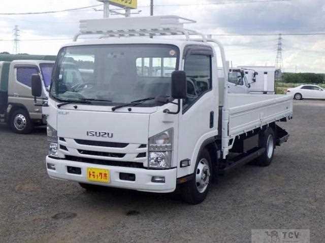 2020 Isuzu Elf Truck