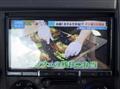 2020 Isuzu Elf Truck