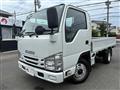 2019 Isuzu Elf Truck