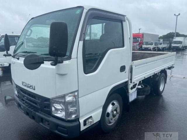 2017 Isuzu Elf Truck