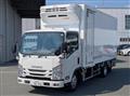 2019 Isuzu Elf Truck