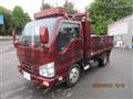 2020 Isuzu Elf Truck