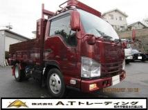 2020 Isuzu Elf Truck