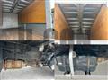 2017 Isuzu Elf Truck