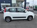 2019 Fiat Panda